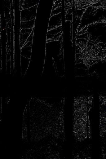 The Heart of the Wood (2025) poster