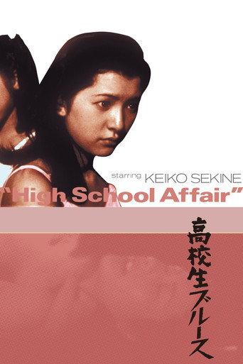 High School Affair (1970) poster