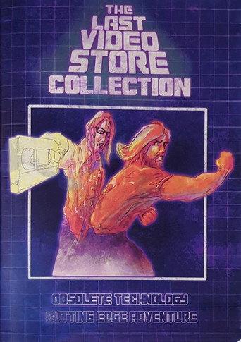 The Last Videostore (2013) poster