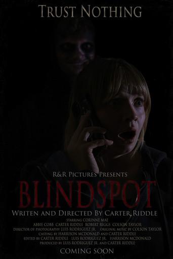 BLINDSPOT (2026) poster