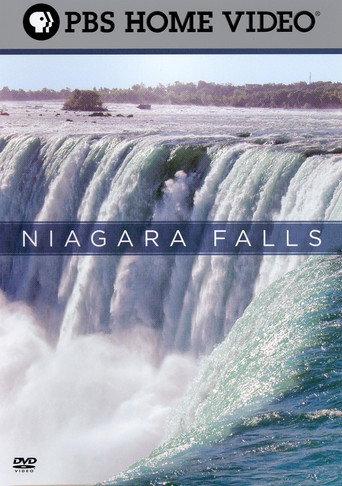 Niagara Falls (2006) poster