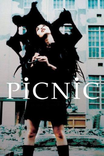 Picnic (1996) poster