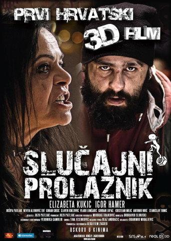Accidental Passer-By (2013) poster