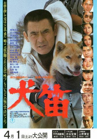 Shag (1978) poster