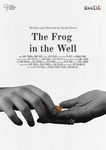 The Frog in The Well (2025) poster
