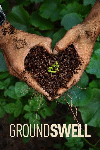 Groundswell (2026) poster