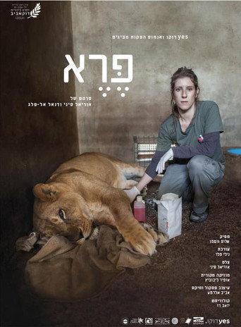 Wild: Life, Death and Love in a Wildlife Hospital (2018) poster