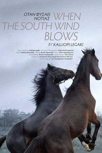 When the South Wind Blows (2019) poster