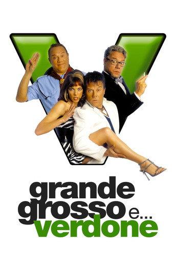 Grande, grosso e... Verdone (2008) poster