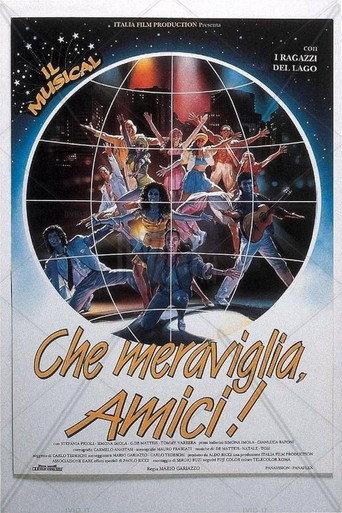 Che meraviglia, amici! (1992) poster
