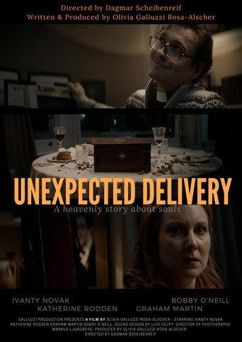 Unexpected Delivery () poster