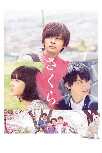 Sakura (2020) poster