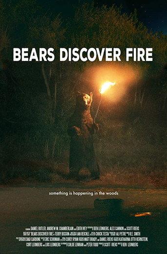 Bears Discover Fire (2015) poster