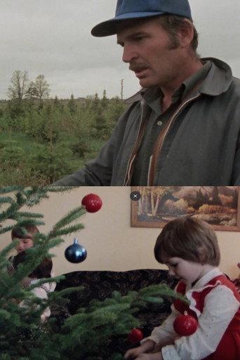 Arbres de Noël à vendre (1981) poster