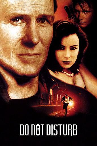 Do Not Disturb (1999) poster