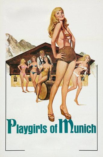 Playgirls of Munich (1977) poster