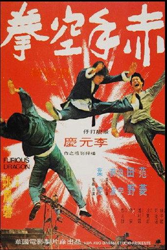 Furious Dragon (1973) poster