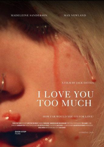 I Love You Too Much () poster
