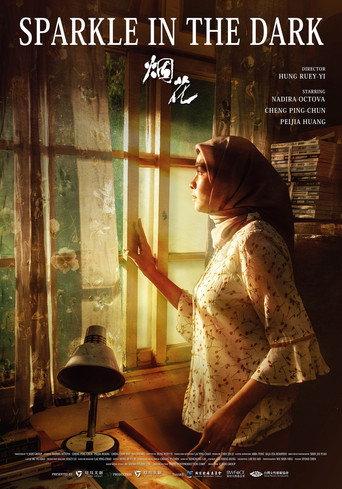 Sparkle in the Dark () poster