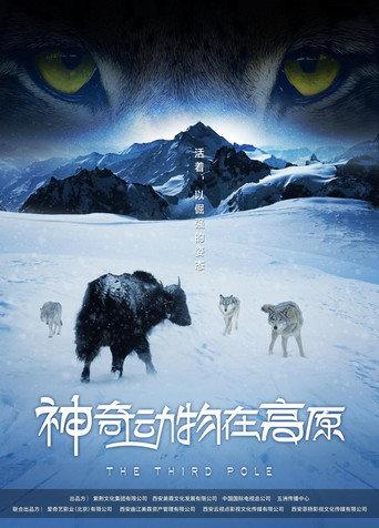 The Third Pole (2023) poster