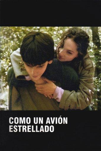 Como un avión estrellado (2005) poster