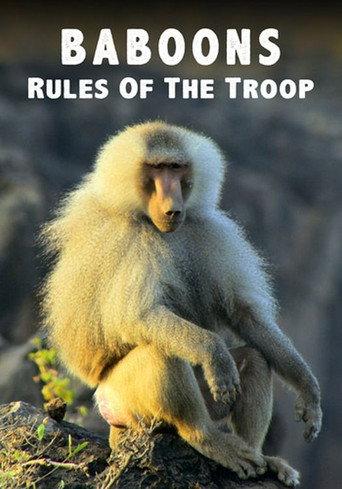 Baboons: Rules of the Troop (2021) poster