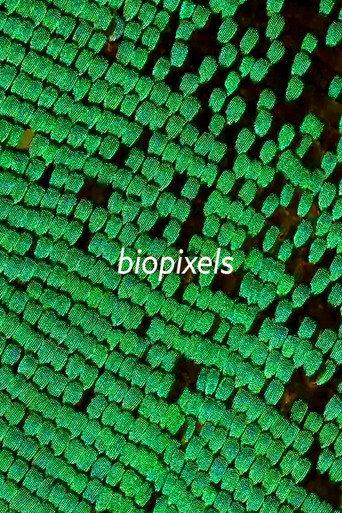 biopixels () poster