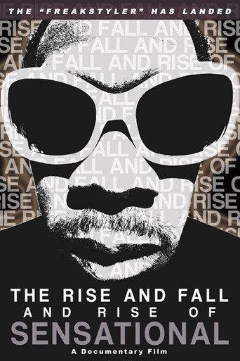 The Rise and Fall and Rise of Sensational (2010) poster