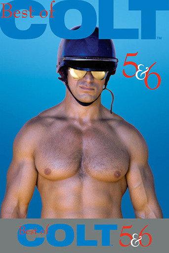 The Best of Colt Films: Part 5 & 6 (1986) poster