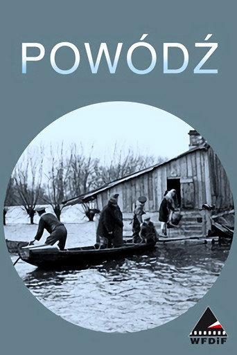 Storm in Poland (1947) poster