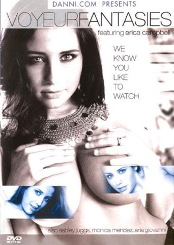 Voyeur Fantasies (2006) poster