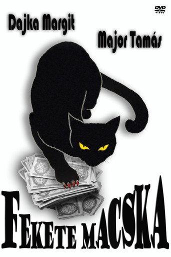 Fekete macska (1972) poster