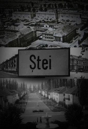 Ștei () poster
