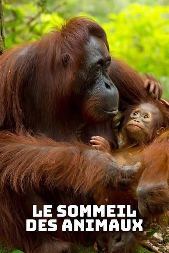 Le sommeil des animaux (2017) poster