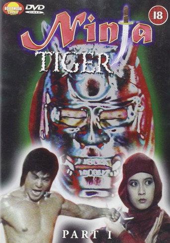 Ninja Death 1 (1987) poster