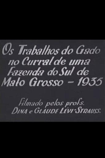 Cattle Work in the Corral of a Farm in Southern Mato Grosso (1935) poster