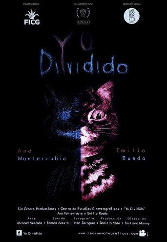 Yo Dividido (2016) poster