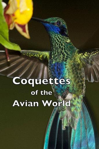 Coquettes of the Avian World (2023) poster