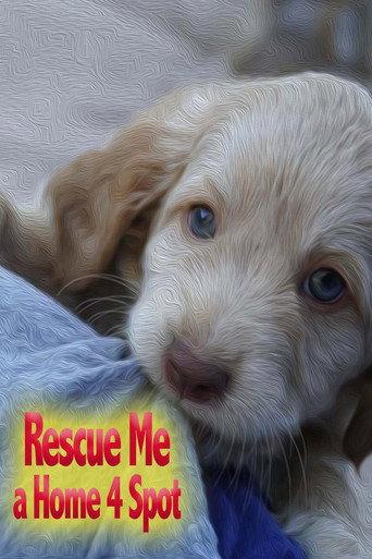 Rescue Me: A Home 4 Spot (2019) poster