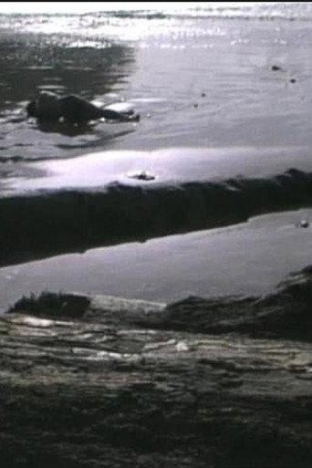 Incidence of Catastrophe (1988) poster