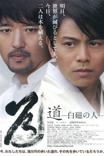The Way: Man of the White Porcelain (2012) poster