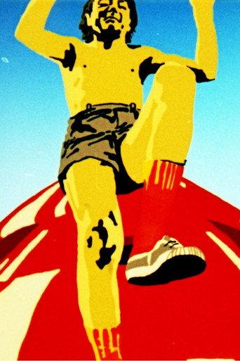 Vacuum Cleaner (1978) poster