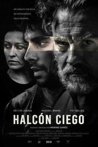 Blind Hawk (2018) poster