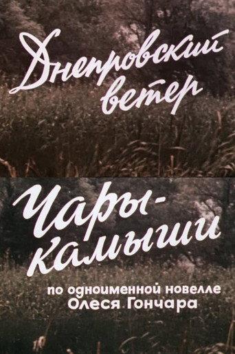 The Dnipro Wind. Enchanted Reeds (1976) poster