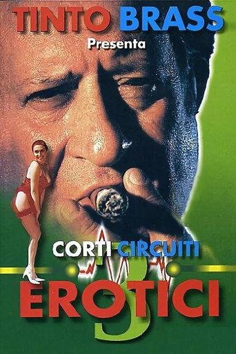 Erotic Short Circuits Vol.3 (1998) poster