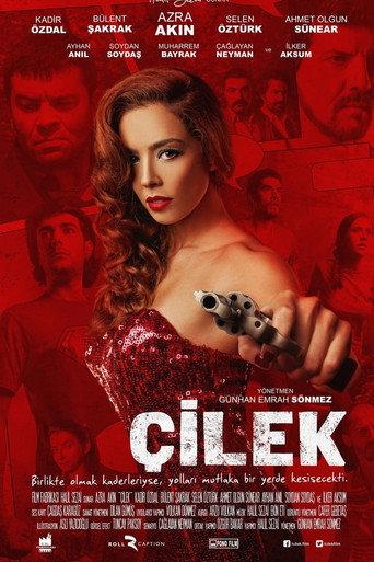 Çilek (2014) poster