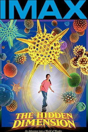 The Hidden Dimension (1998) poster