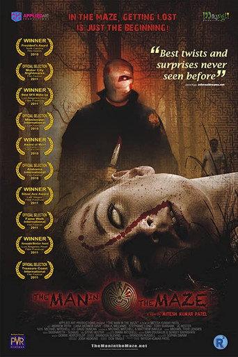 The Man in the Maze (2011) poster
