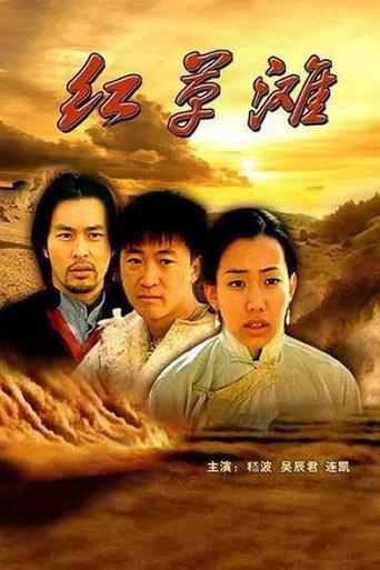 红草滩 (2000) poster