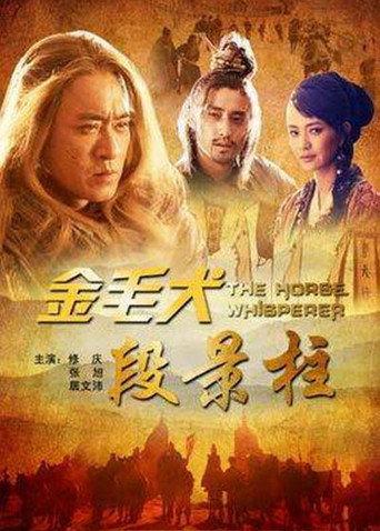 金毛犬段景柱 (2012) poster